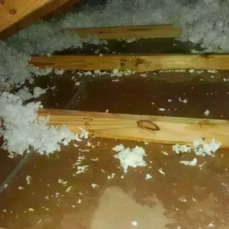 Attic Water Damage in Fannin County, TX