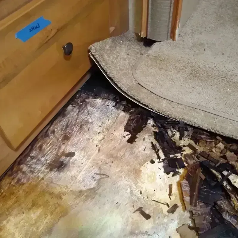 Best Wood Floor Water Damage Service in Fannin County, TX